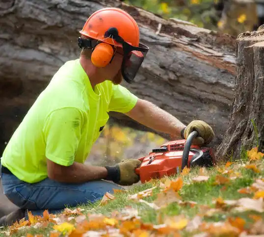 tree services Ramsey